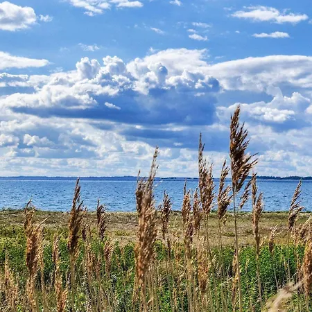 بيت للعطل 4 Person In *