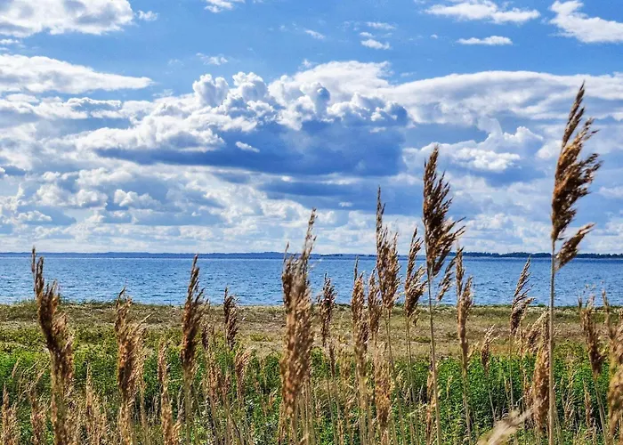 بيت للعطل 4 Person In *