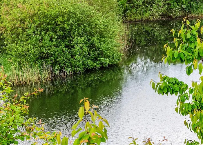 4 Person In بيت للعطل