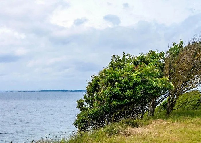 4 Person In بيت للعطل